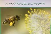 ﺗﻮﺻﻴﻪ ﻫﺎی ﺑﻬﺪاﺷﺘﻲ ﺑﺮای پرورش زنبور عسل در فصل ﺑﻬﺎر