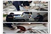 ضبط 240 کیلو گرم ماهی فاسد از بازار ماهی فروشان شهرستان لنگرود