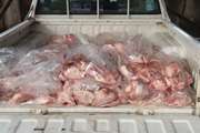 کشف و ضبط 500 کیلوگرم مرغ منجمد نگهداری شده در شرایط غیر بهداشتی در شهرستان املش
