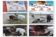 اجرای طرح واکسیناسیون سگ های بدون صاحب در شهرستان خمام 