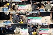برگزاری اردوی جهادی جهت انجام خدمات رایگان دامپزشکی به مناسبت ایام ا... دهه فجر در شهرستان آستانه اشرفیه