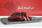 اطلاع‌نگاشت آشنایی با بیماری تب کریمه-کنگو (C.C.H.F) 
