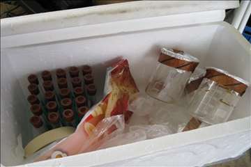 فعالیتهای اداره آبزیان گیلان