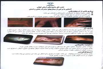 پمفلت های دامپزشکی گیلان 