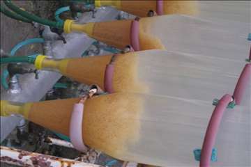 فعالیتهای اداره آبزیان گیلان