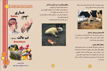 پملفتهای  بهداشتی