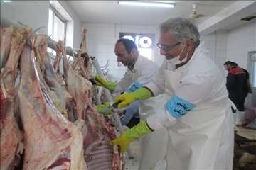 نظارت بهداشتی عید قربان به روایت تصویر(94)-گیلان