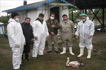 اجرای مانور پدافند غیرعامل مقابله با آنفلوآنزای پرندگان در تالاب انزلی