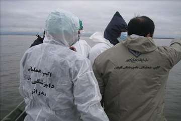 اجرای مانور پدافند غیرعامل مقابله با آنفلوآنزای پرندگان در تالاب انزلی