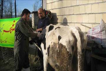 خدمات بهداشتی پیشگیری دامپزشکی گیلان -دهه فجر 94