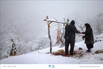 عکسهای منتخب جشنواره تخصصی بیطار