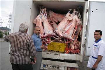 پیشگیری از CCHF