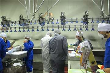 بازدید ریاست سازمان دامپزشکی کشور بهمراه هیئت روسی از مراکز تحت نظارت دامپزشکی گیلان(جوجه کشی و کشتا