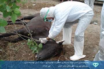 نمایشگاه عکس فعالیت های دامپزشکی