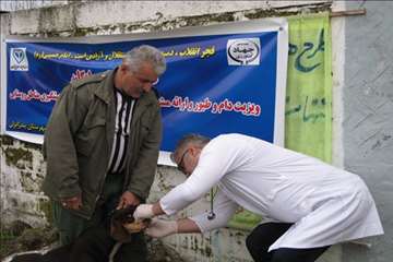 فعالیت های دامپزشکی گیلان در دهه فجر 1393