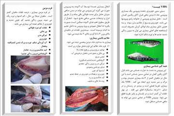 پمفلت های دامپزشکی گیلان 