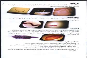 پمفلت های دامپزشکی گیلان 