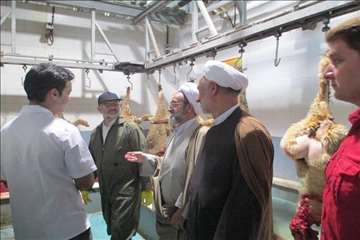 نظارت بهداشتی عید قربان 1395 گیلان به روایت تصویر