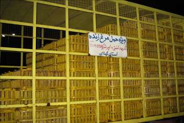 طرح رد يابي فراورده هاي خام دامي