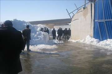 حضور رييس سازمان دامپزشكي و هيات همراه در مناطق برفگير گيلان