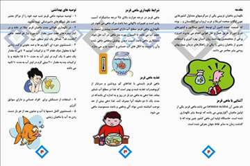 پملفتهای  بهداشتی