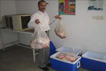 پیشگیری از CCHF