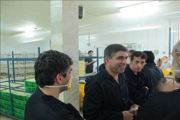 بازدید ریاست سازمان دامپزشکی کشور بهمراه هیئت روسی از مراکز تحت نظارت دامپزشکی گیلان(جوجه کشی و کشتا