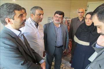 نظارت بهداشتی عید قربان به روایت تصویر(94)-گیلان