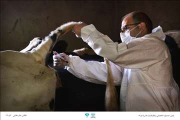 عکسهای منتخب جشنواره تخصصی بیطار