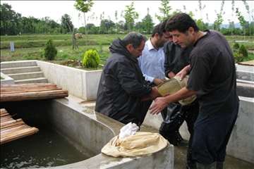 فعالیتهای اداره آبزیان گیلان