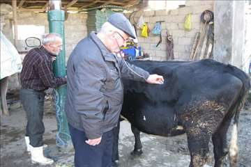 خدمات بهداشتی پیشگیری دامپزشکی گیلان -دهه فجر 94