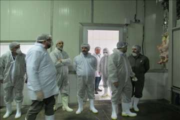 بازدید ریاست سازمان دامپزشکی کشور بهمراه هیئت روسی از مراکز تحت نظارت دامپزشکی گیلان(جوجه کشی و کشتا