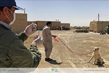 عکسهای منتخب جشنواره تخصصی بیطار