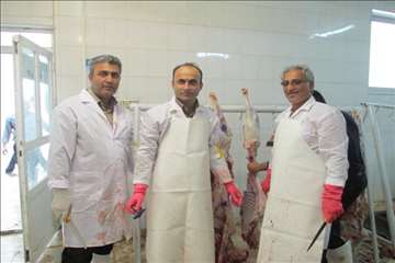 نظارت بهداشتی عید قربان 1395 گیلان به روایت تصویر