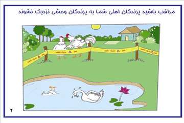 راههای پیشگیری از آنفلوانزای فوق حاد پرندگان