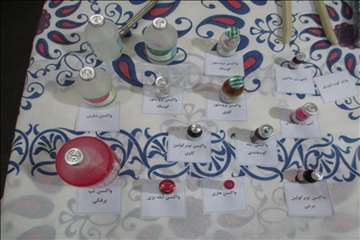 هشتمین  نمایشگاه دام،طیور،آبزیان و... -گیلان93