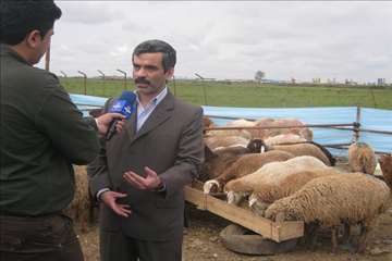 گيلان در روز عيد قربان