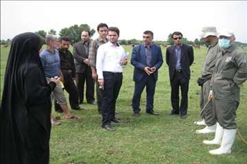 اقدامات پیشگیرانه اداره کل دامپزشکی گیلان علیه لمپی اسکین