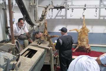 نظارت بهداشتی عید قربان به روایت تصویر(94)-گیلان