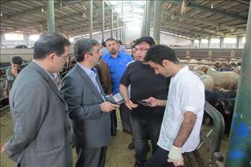 نظارت بهداشتی عید قربان به روایت تصویر(94)-گیلان