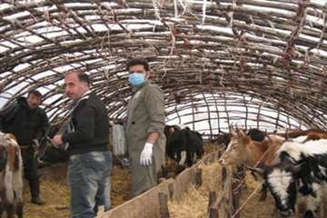 خدمات بهداشتی پیشگیری دامپزشکی گیلان -دهه فجر 94