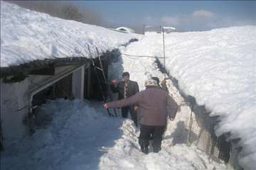 حضور رييس سازمان دامپزشكي و هيات همراه در مناطق برفگير گيلان