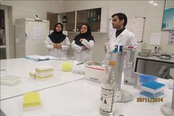 بازدید معاون تشخیص و درمان از آزمایشگاههای بخش دولتی استان گیلان