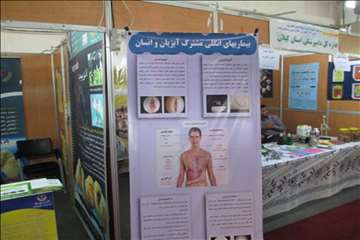 هشتمین  نمایشگاه دام،طیور،آبزیان و... -گیلان93