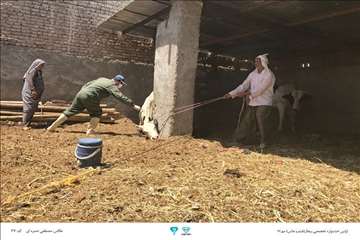 عکسهای منتخب جشنواره تخصصی بیطار