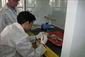 فعالیتهای اداره آبزیان گیلان