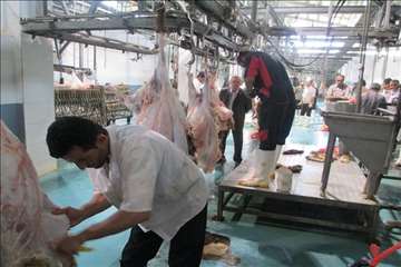 نظارت بهداشتی عید قربان به روایت تصویر(94)-گیلان