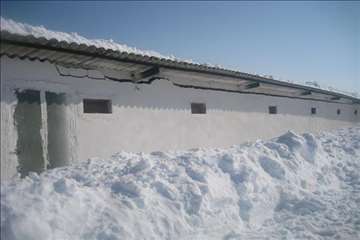 حضور رييس سازمان دامپزشكي و هيات همراه در مناطق برفگير گيلان