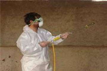 اقدامات پیشگیرانه اداره کل دامپزشکی گیلان علیه لمپی اسکین