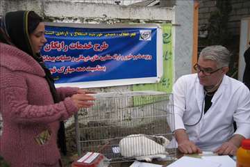 فعالیت های دامپزشکی گیلان در دهه فجر 1393